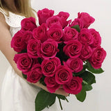 Hot Pink Roses