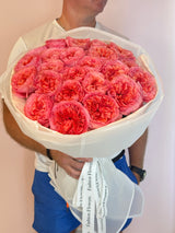 Roseate Reverie - Elegant Pink Garden Roses