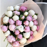Pink Peonies