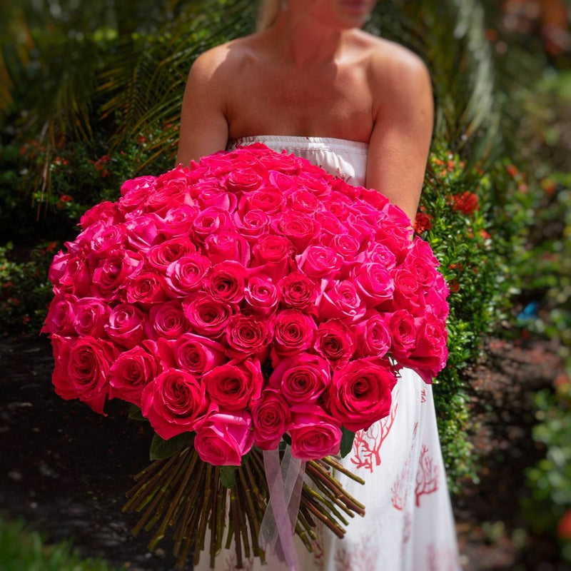 Hot Pink Roses