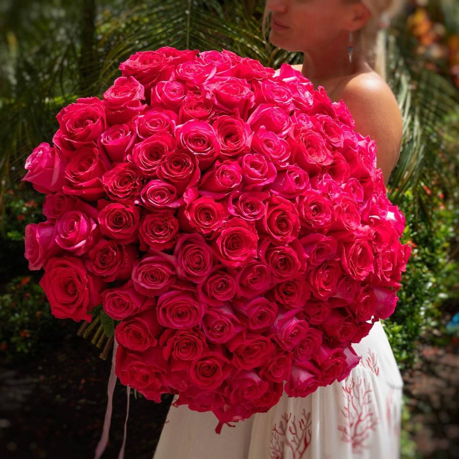 Hot Pink Roses Pictures