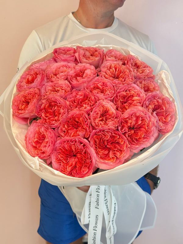 Roseate Reverie - Elegant Pink Garden Roses