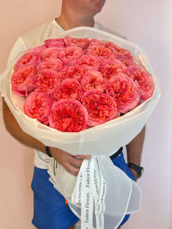 Roseate Reverie - Elegant Pink Garden Roses