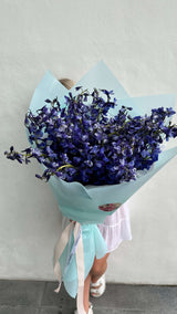 Just Blue - Mono Bouquet de Blue Delphinium para qualquer ocasião