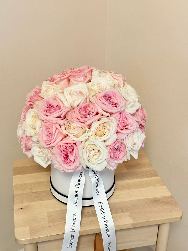 Rosas Ohara- incríveis rosas de jardim com um aroma agradável e inesquecível em caixa.