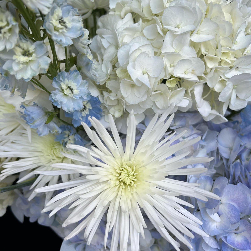 Blue Sky - Magnificent Basket of White and Light Blue Flowers