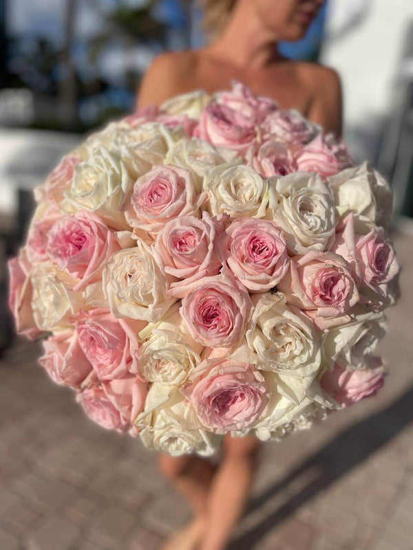 Armonía romántica - 50 rosas de jardín blancas y rosas